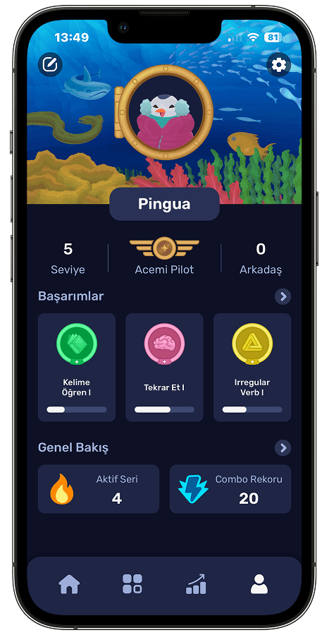 Pingua app screen 2