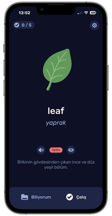 Pingua app screen 9